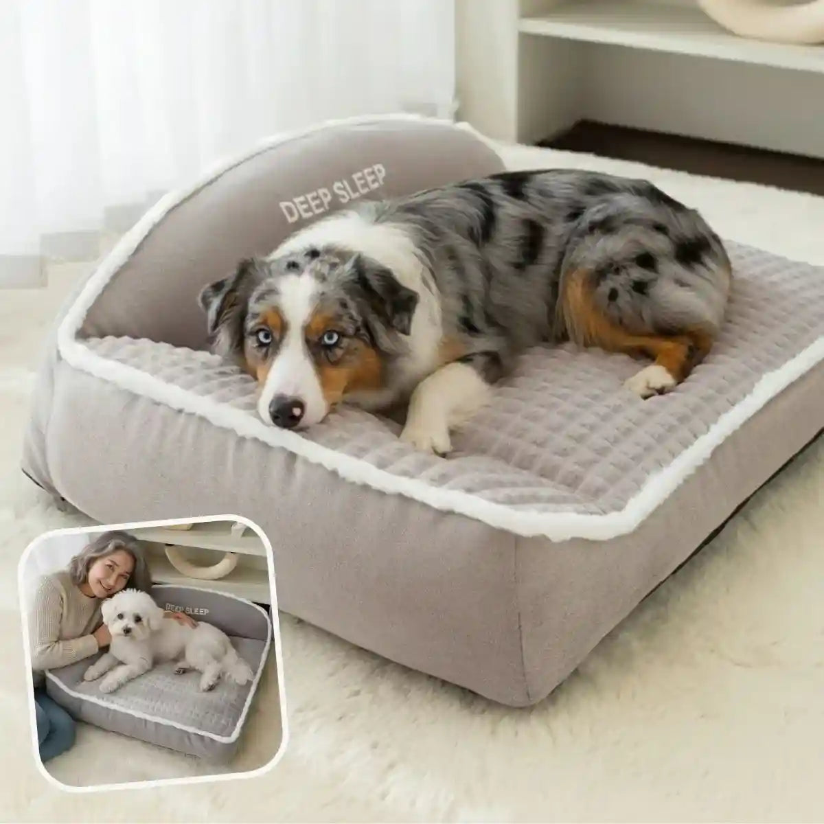 Panier pour chien ultra confort gris DooRêve™ avec chiens détendus