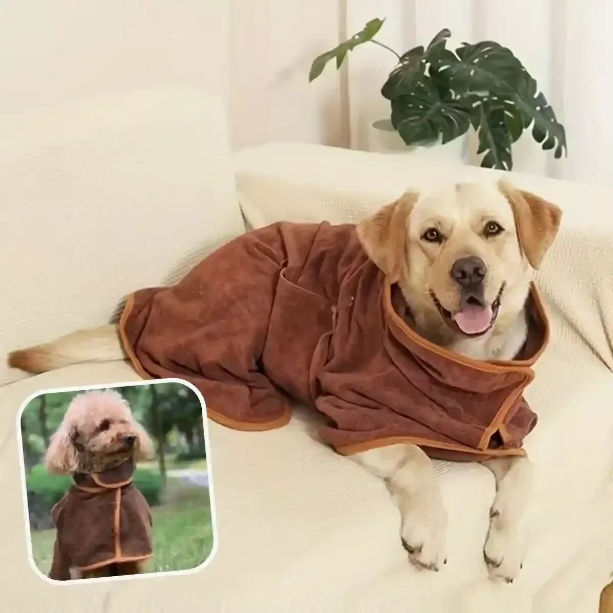 Peignoir pour chien marron, moment de détente après le bain