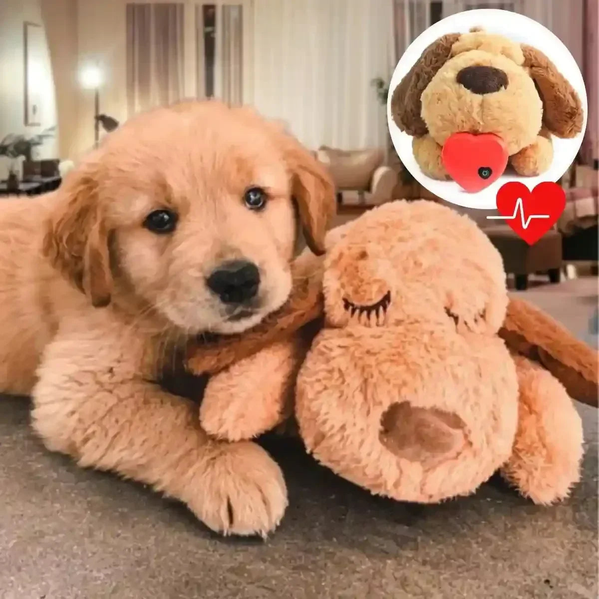 Peluche anti stress pour chien avec chien apaisé à ses côtés