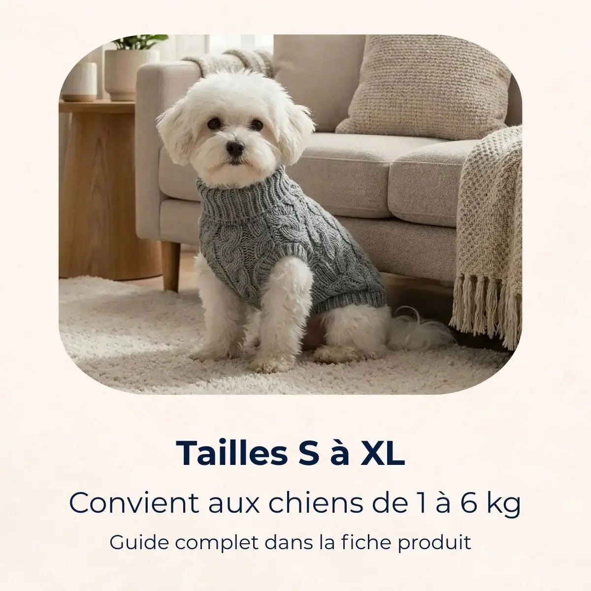 Présentation des tailles du pull pour chien maille torsadée pour petits chiens