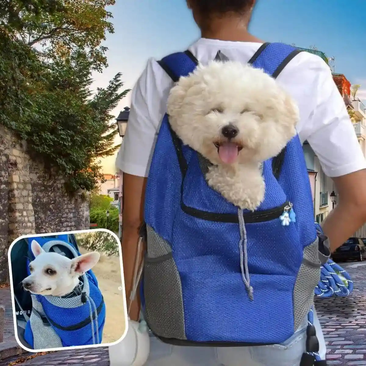 sac a dos chien bleu