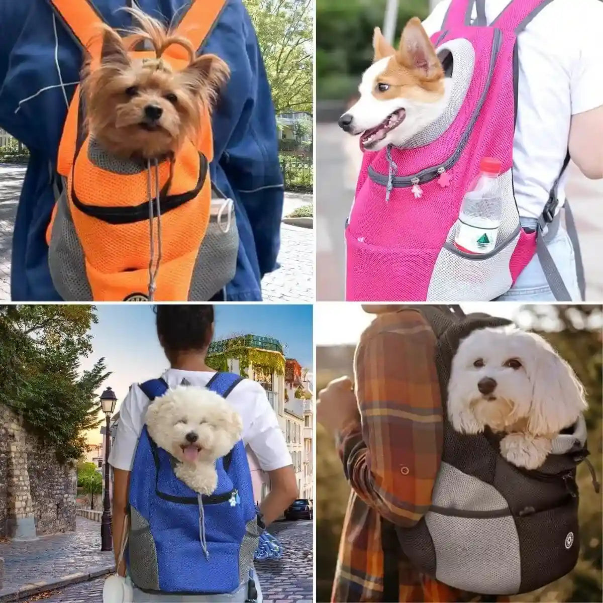 sac a dos chien disponible en 4 couleurs