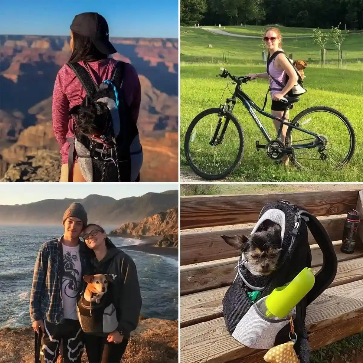 sac a dos chien en extérieur : randonnée, vélo