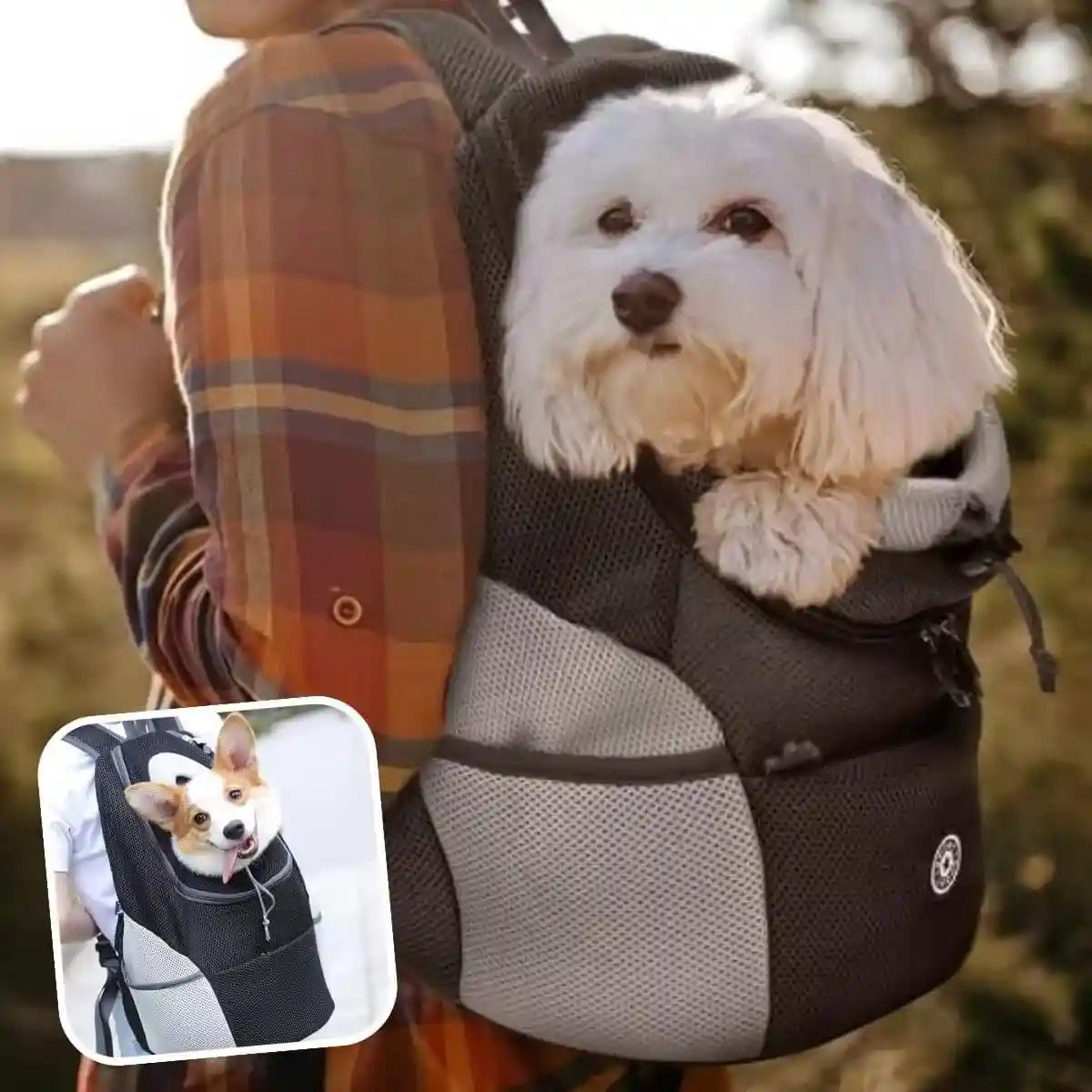 sac a dos chien noir