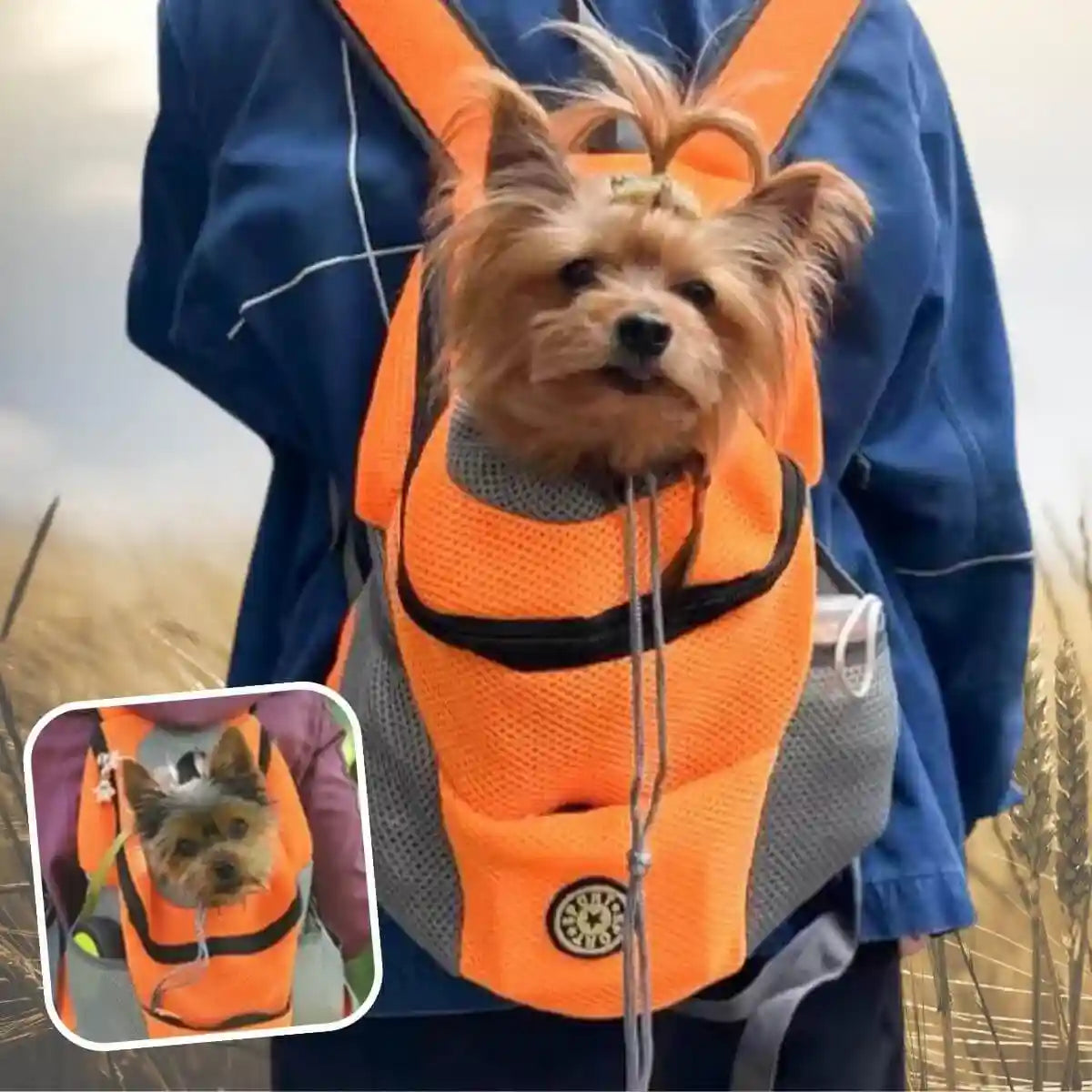 sac a dos chien orange avec yorkshire