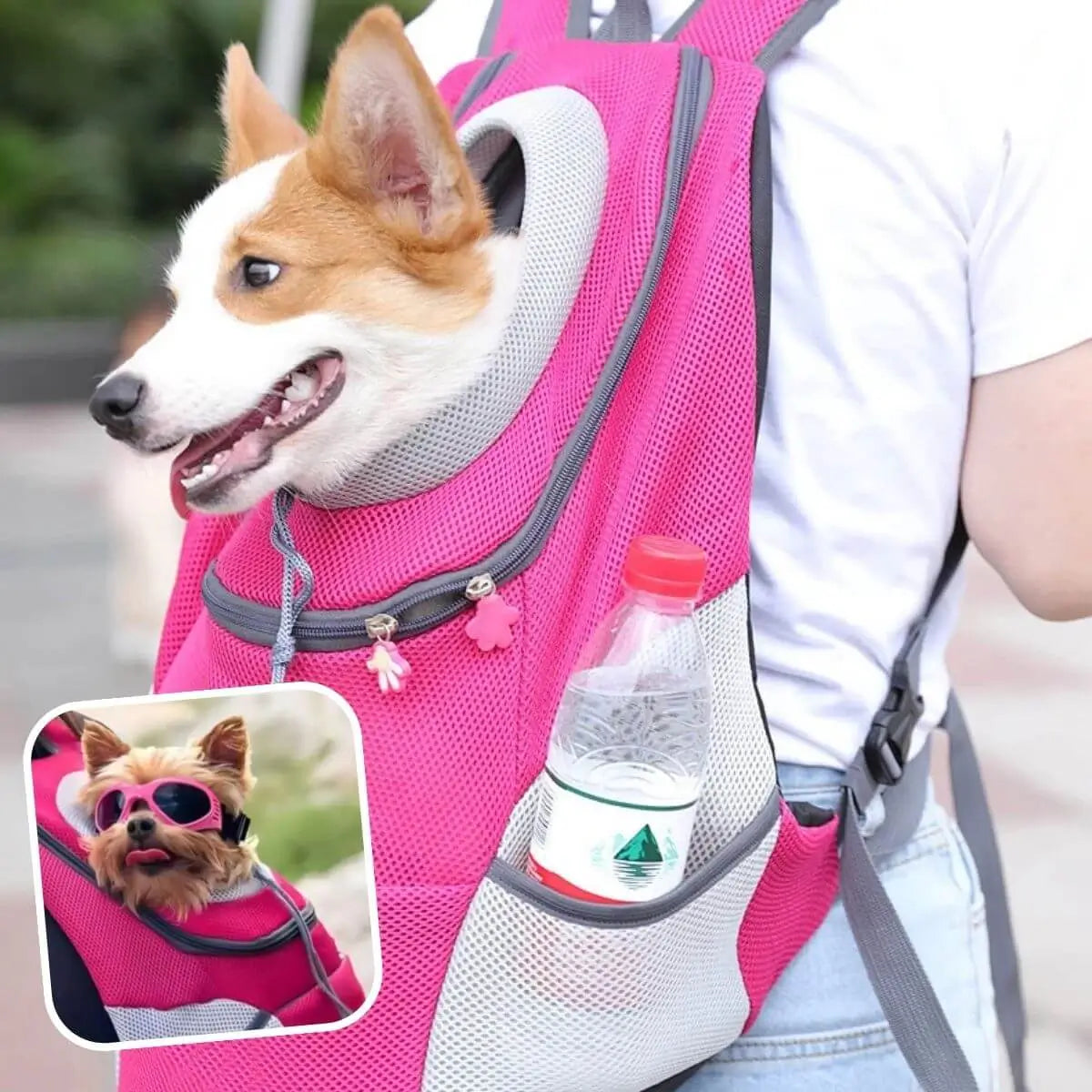 sac a dos chien rose