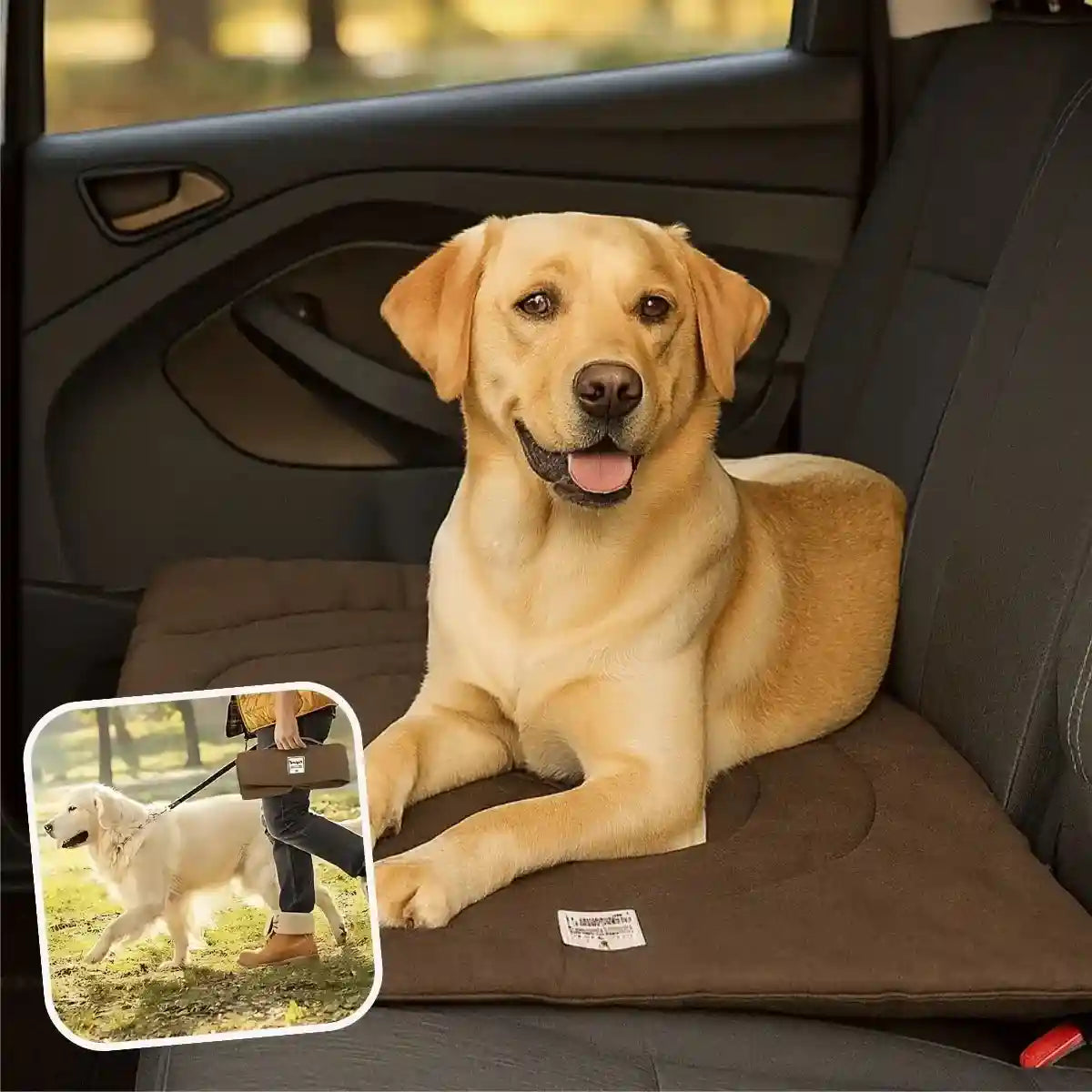 Tapis chien marron voiture siège arrière