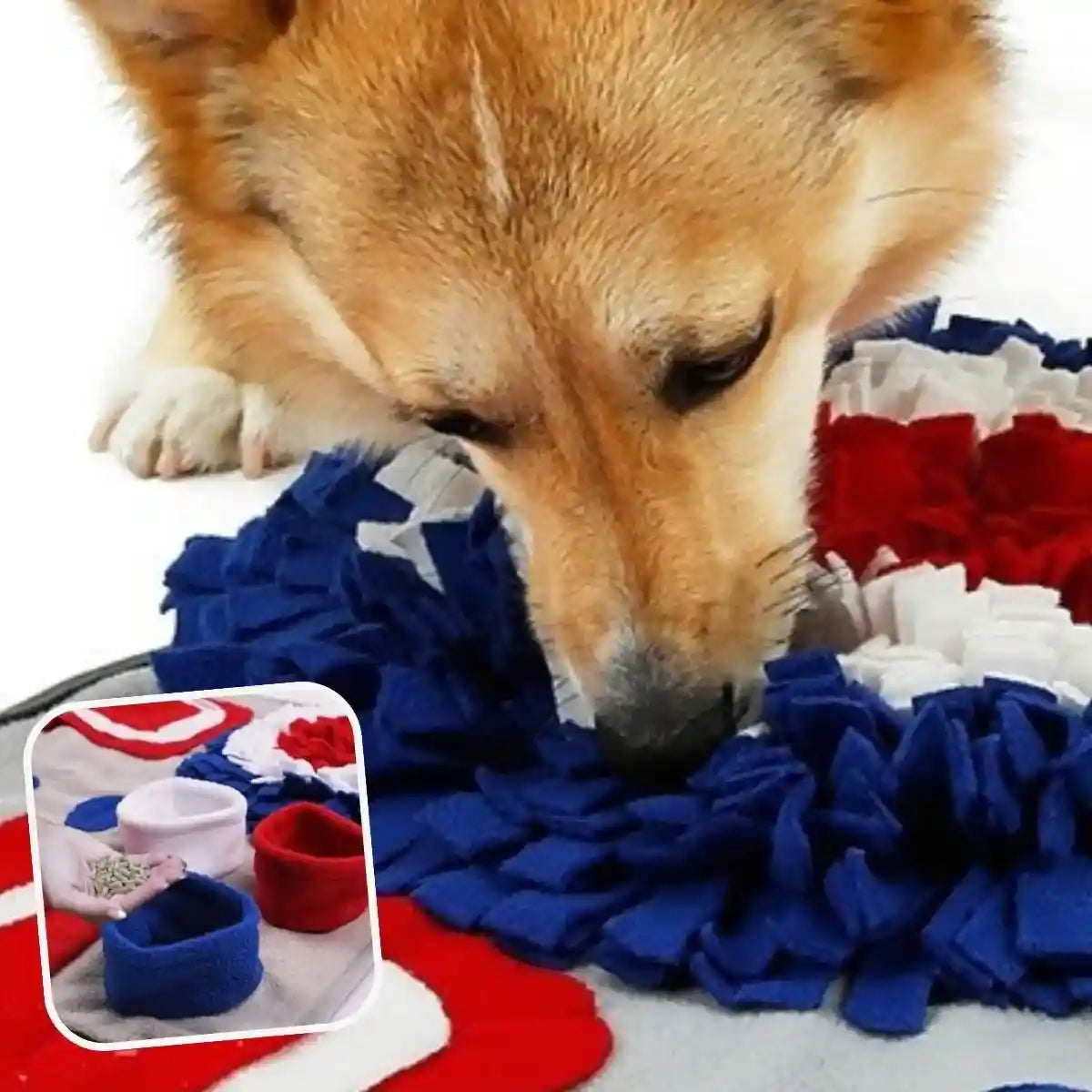 Chien utilisant le tapis de fouille chien anti-glouton PlayMat™