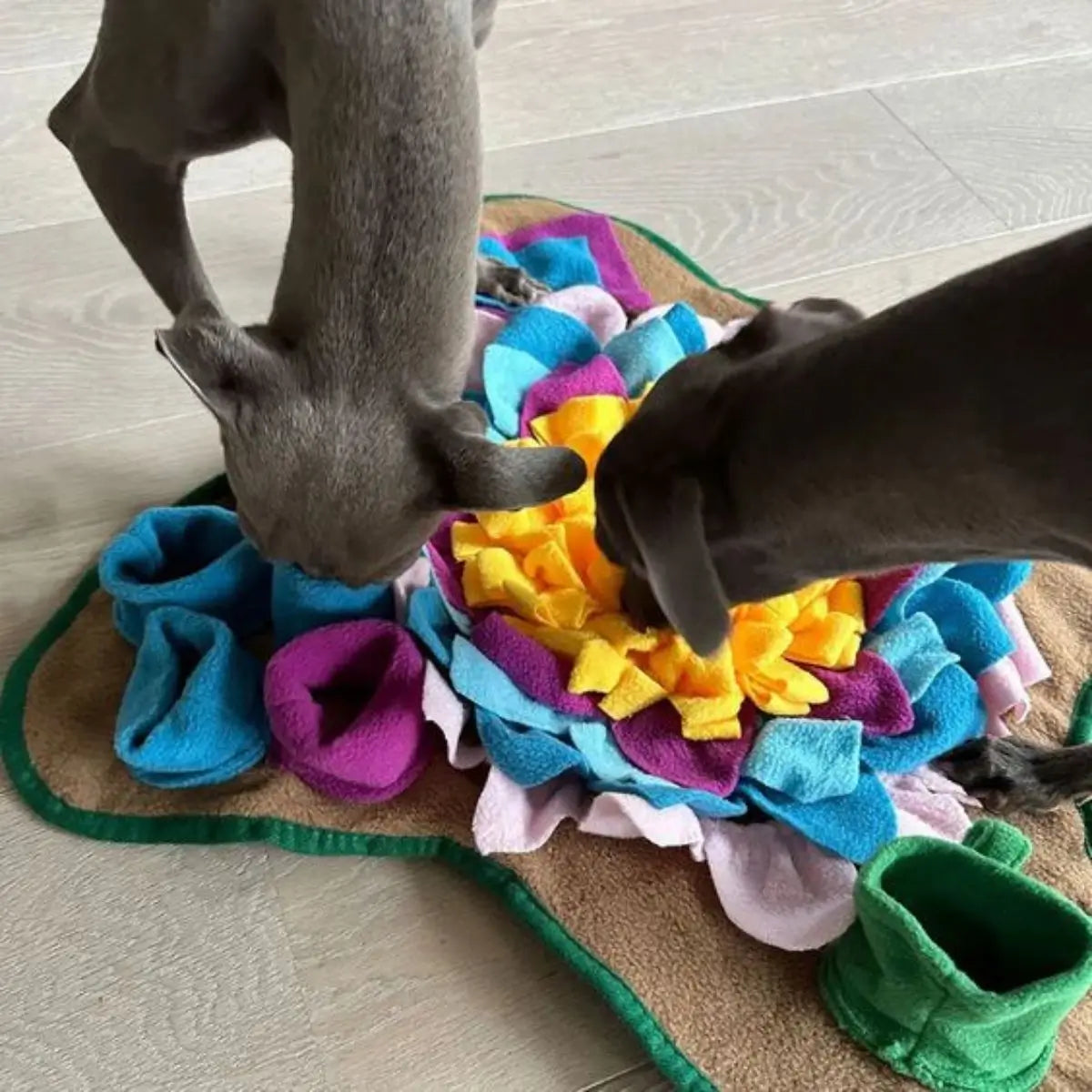 Tapis de fouille chien LuckyMat™ et ses nombreuses cachettes