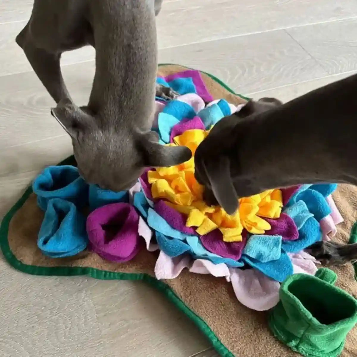 Tapis de fouille chien LuckyMat™ et ses nombreuses cachettes