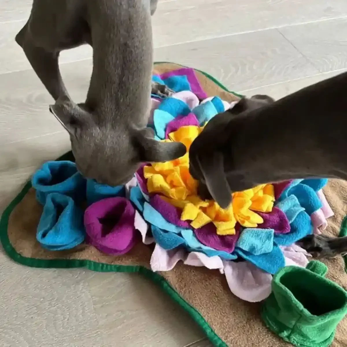 Tapis de fouille chien LuckyMat™ et ses nombreuses cachettes