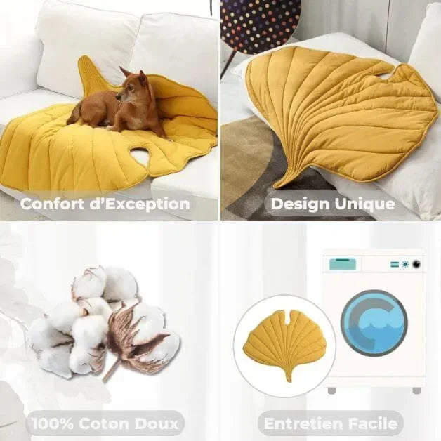 tapis-pour-chien-entretien-facile