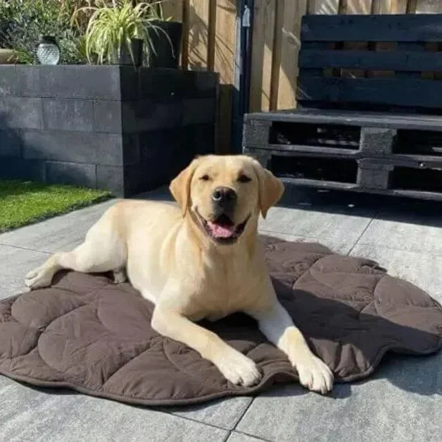 tapis-pour-chien-marron