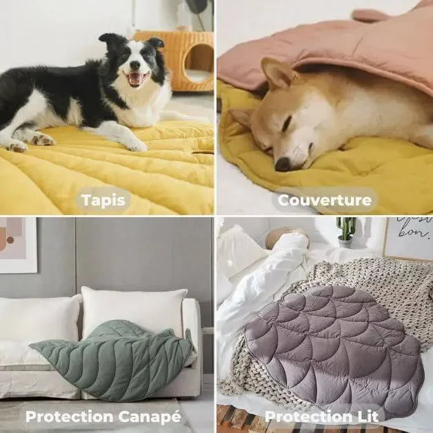 tapis-pour-chien-polyvalent-protection