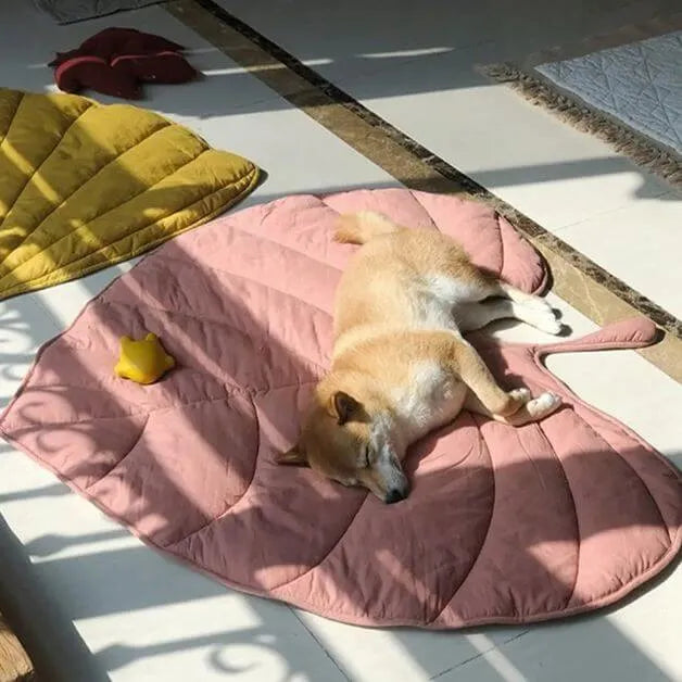 tapis-pour-chien-rose