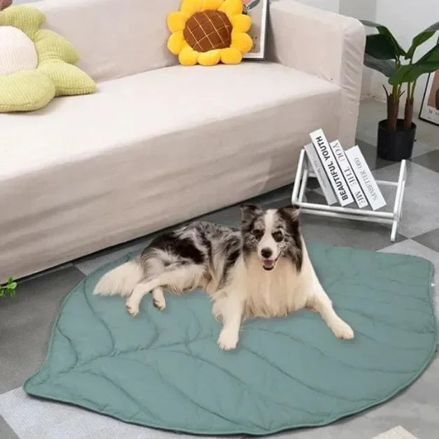 tapis-pour-chien-vert