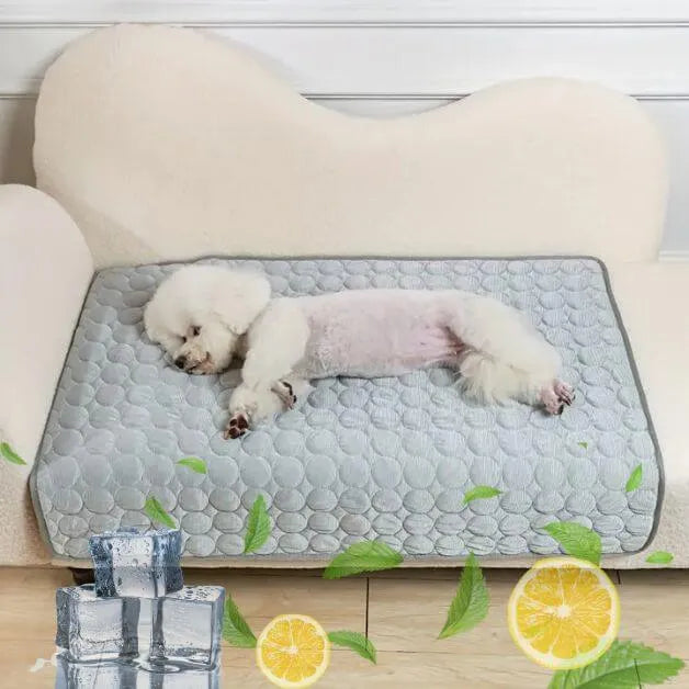 tapis-rafraîchissant-chien-gris