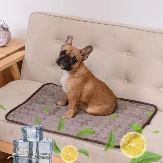 Tapis rafraîchissant chien CoolingMat™ marron