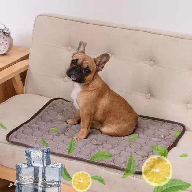 Tapis rafraîchissant chien marron