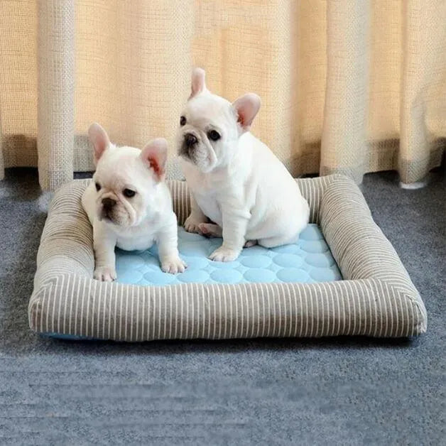 tapis-rafraichissant-chien-panier-bleu