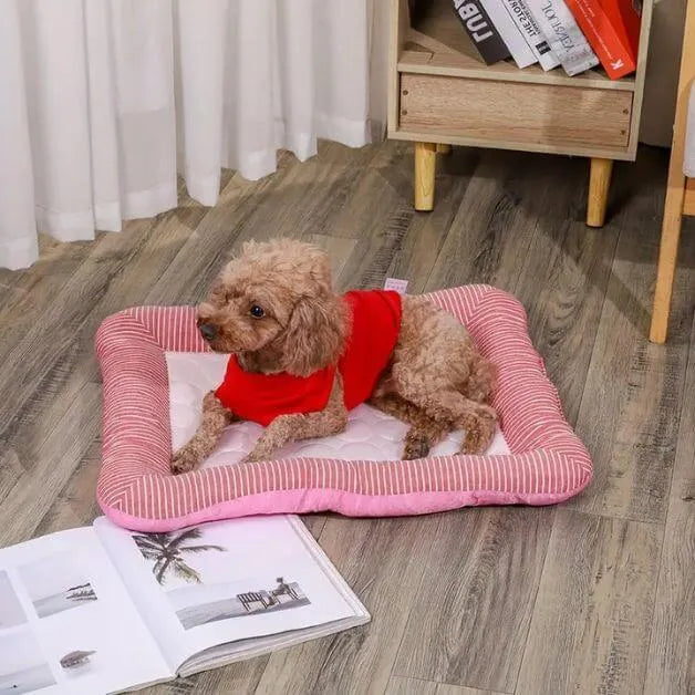 tapis-rafraichissant-chien-panier-rose