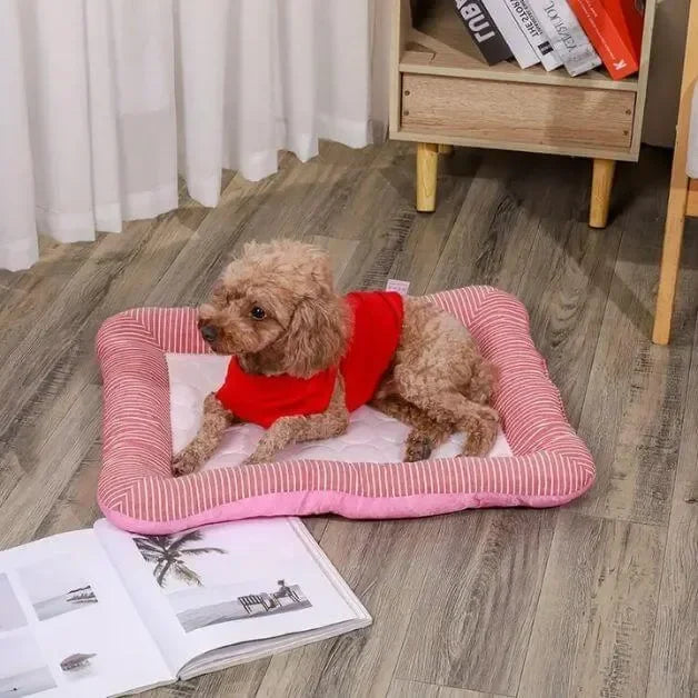 tapis-rafraichissant-chien-panier-rose