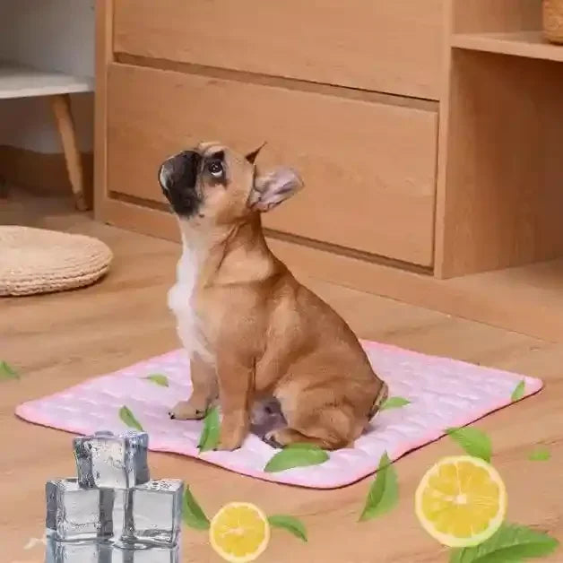 tapis-rafraîchissant-chien-rose