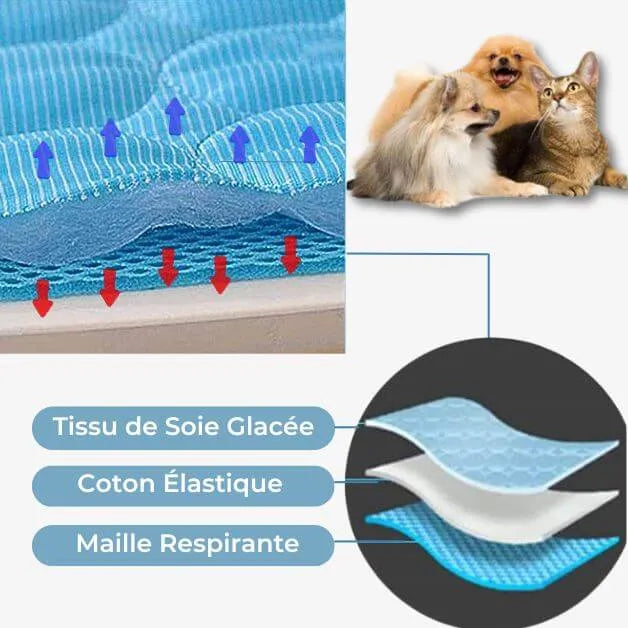 tapis-rafraichissant-chien-sans-gel