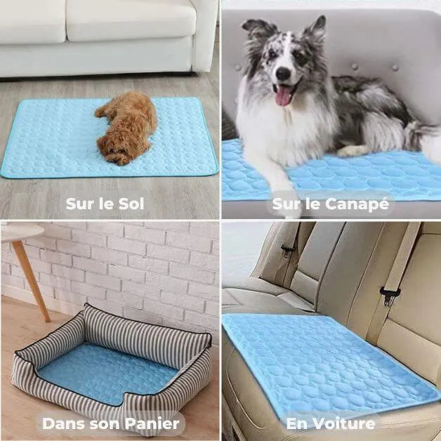 tapis-rafraîchissant-chien-universel