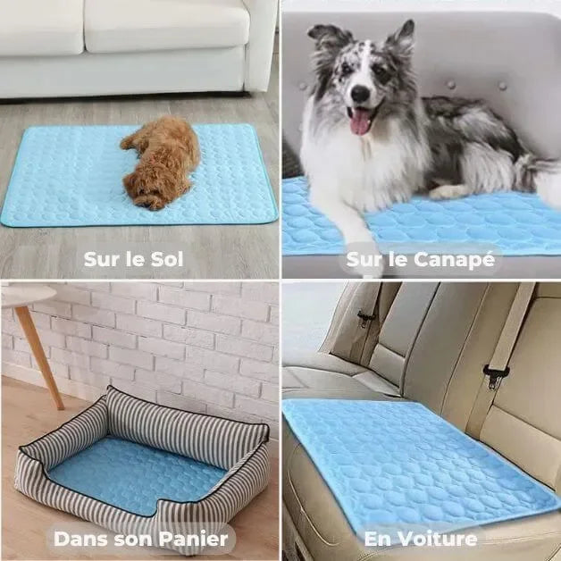 tapis-rafraîchissant-chien-universel