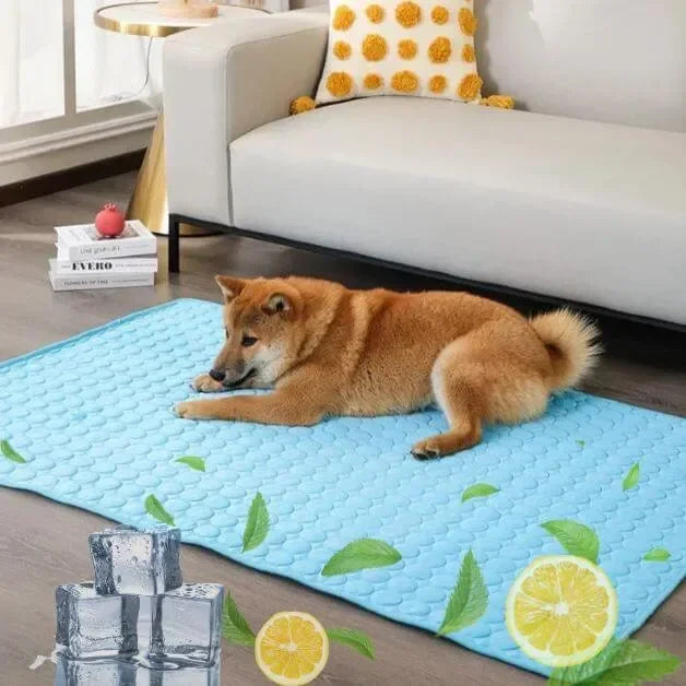 tapis-rafraîchissant-chien