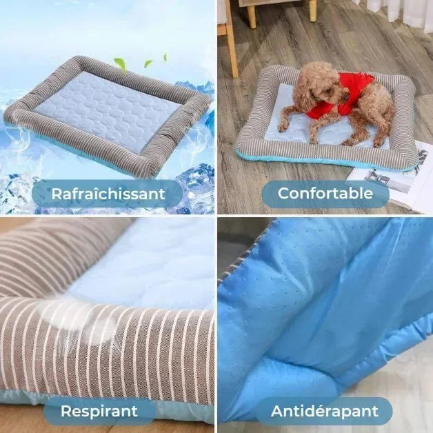 tapis-rafraichissant-pour-chien