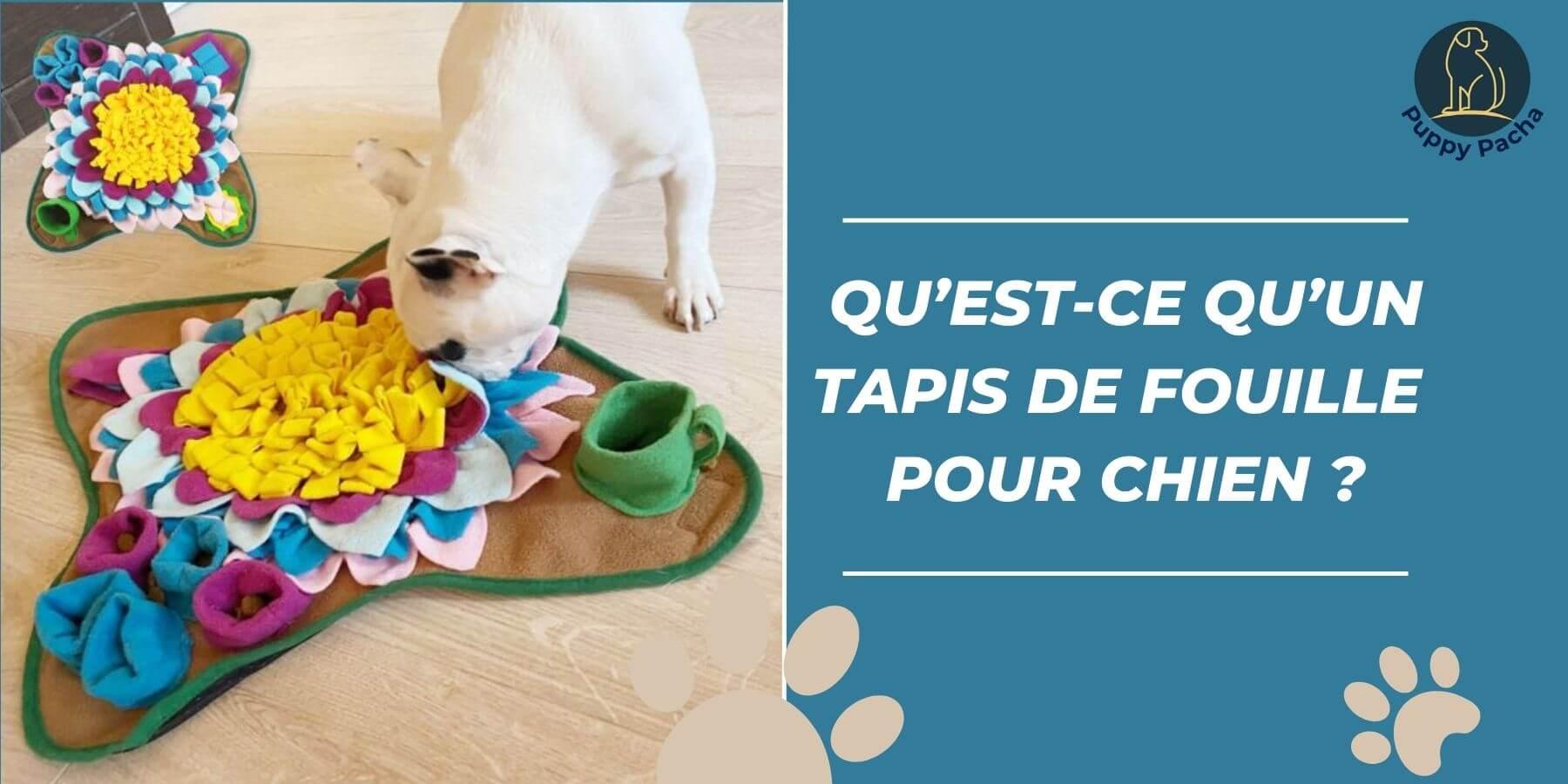 C'est quoi un tapis de fouille pour chien ? - Puppy Pacha