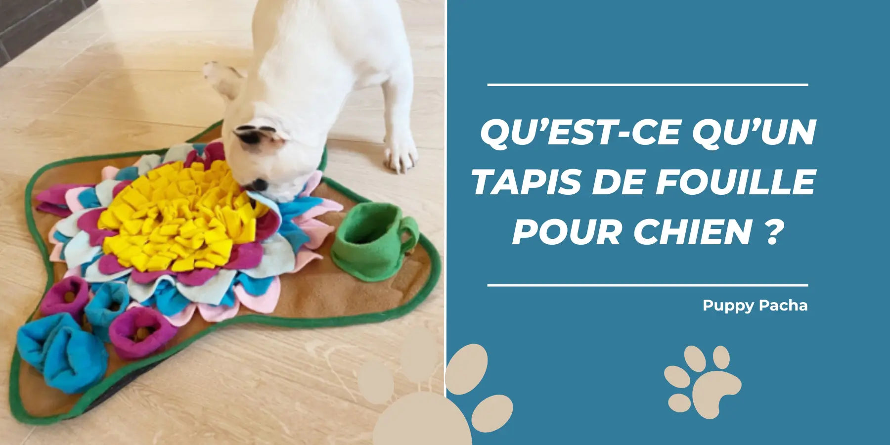 Tapis de Fouille Chien : Le Guide Complet pour son Bien-être
