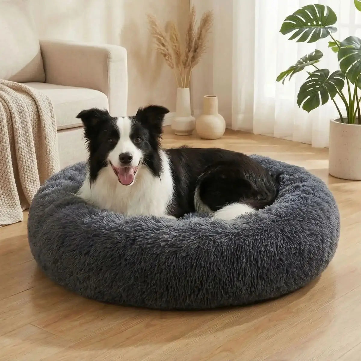 Coussin pour chien moelleux gris avec chien allongé dans un salon lumineux
