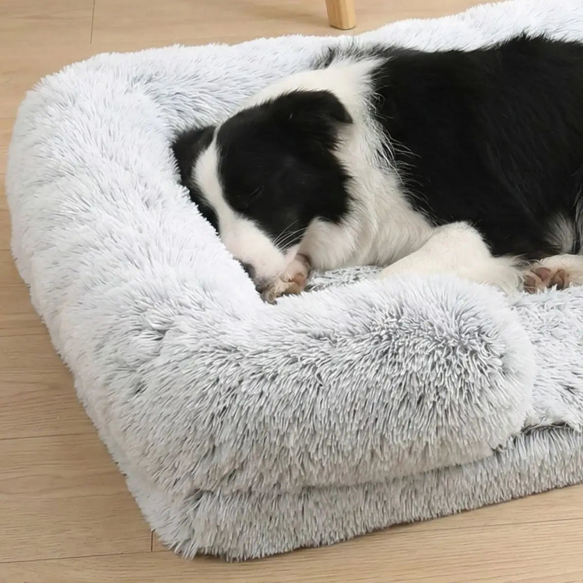 Panier Chien - Puppy Pacha