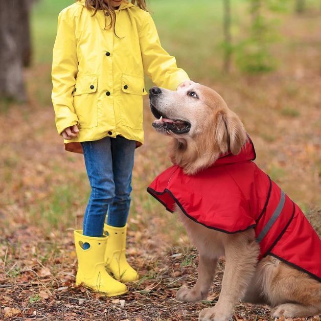 Vêtement pour Chien - Puppy Pacha