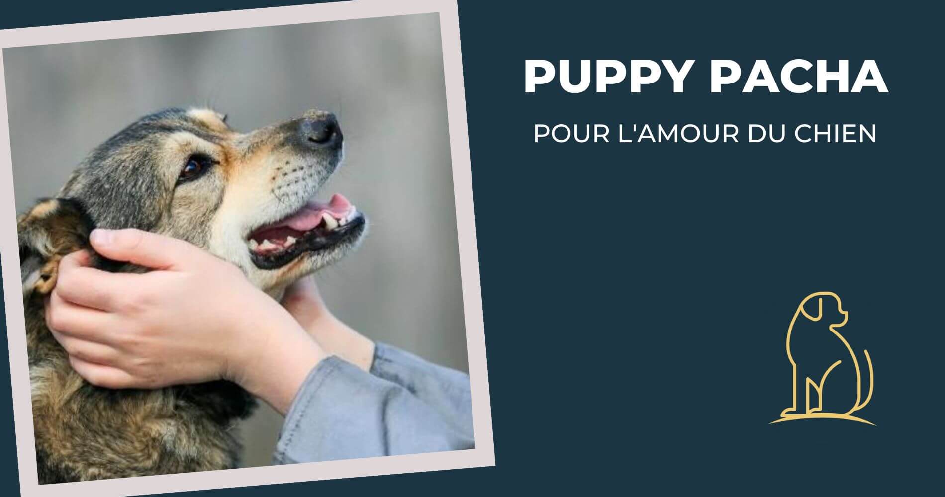 Puppy Pacha - Accessoires pour chien 