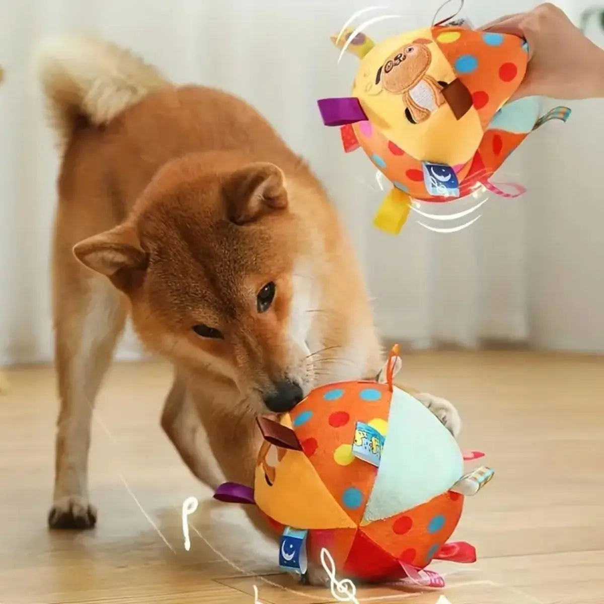Grand chien jouant avec balle chien