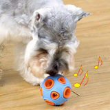 balle-pour-chien-sonore
