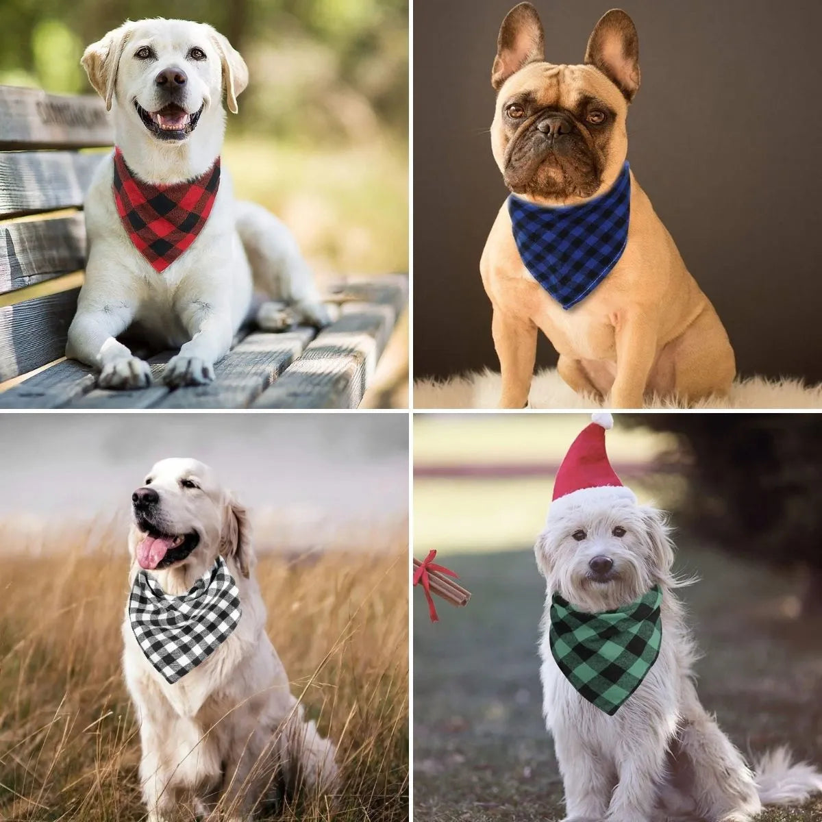 Les quatre coloris du bandana chien PawChic™ : rouge, bleu, noir et vert.