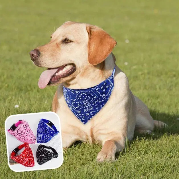 bandana-pour-chien-bleu