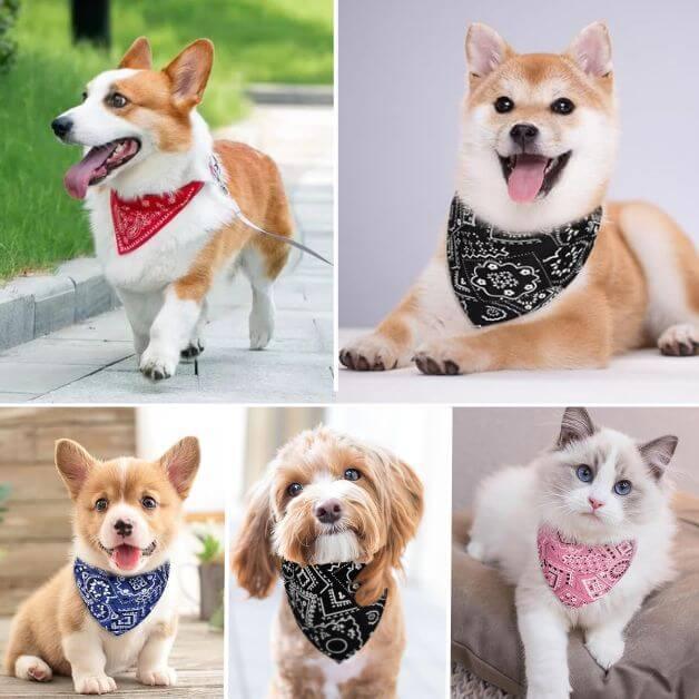 bandana-pour-chien-mode-canine