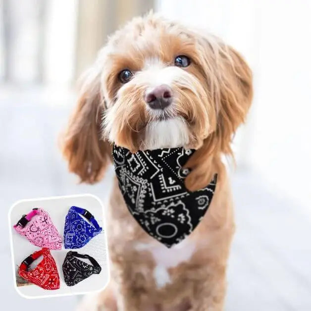 bandana-pour-chien-noir