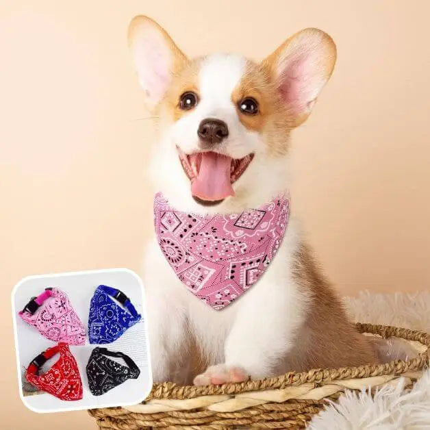 bandana-pour-chien-rose