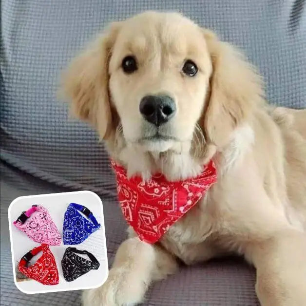 bandana-pour-chien