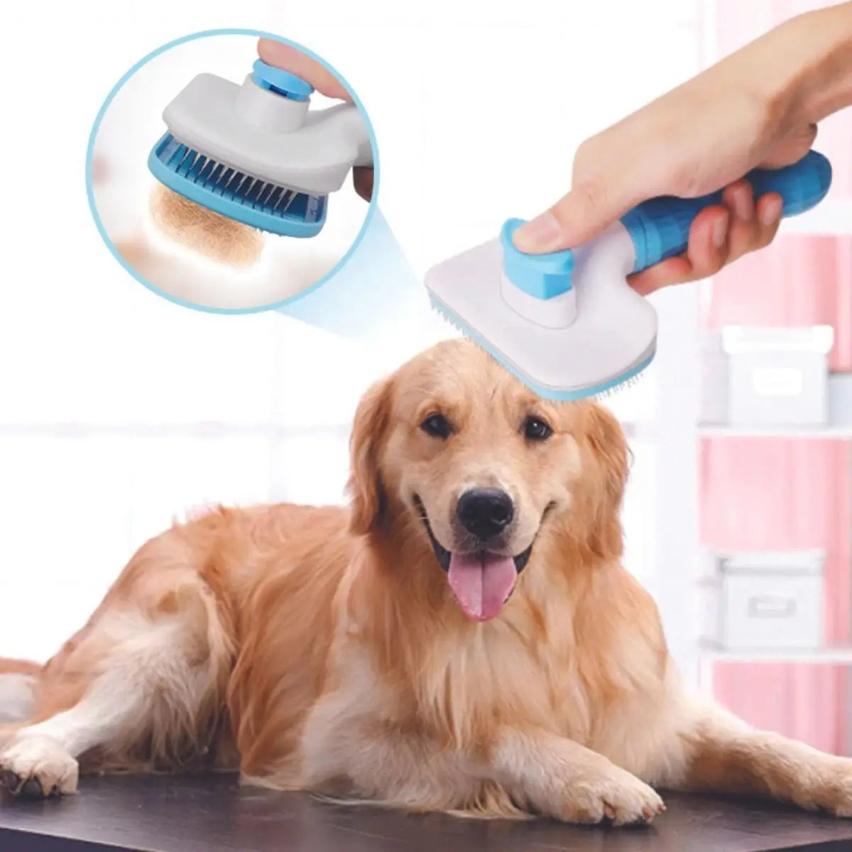 Carde pour chien Oneclic™ anti-poils autonettoyante