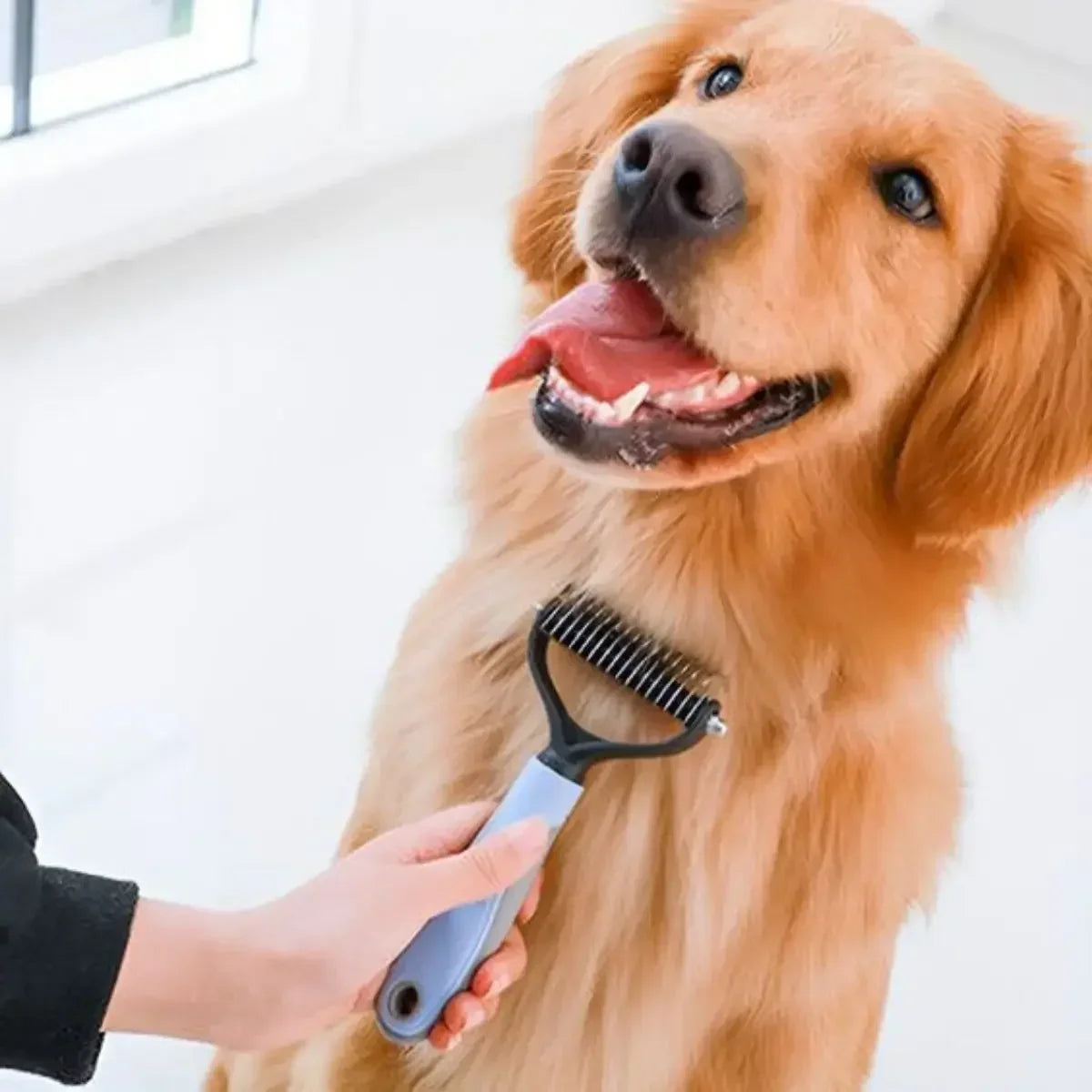 Brosse chien poil long - Puppy Pacha