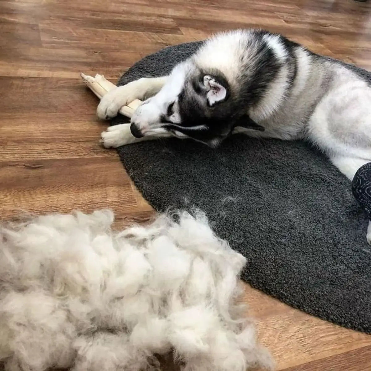 Résultat du démêlage avec la brosse pour chien à poils longs avec un important tas de poils retirés.