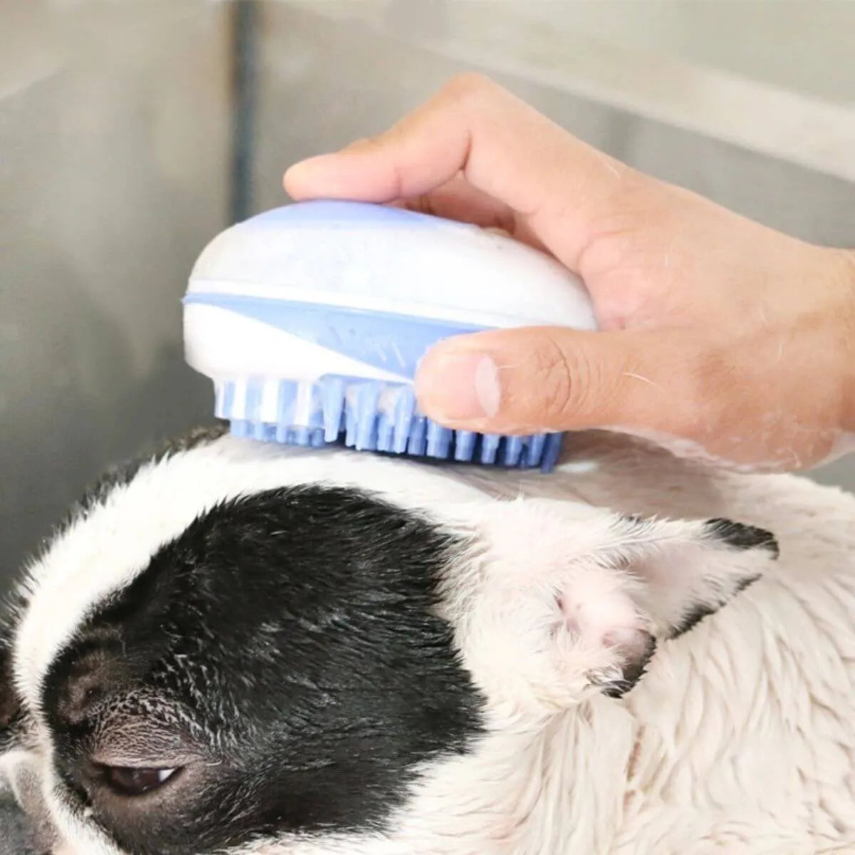 brosse de bain pour chien bleue